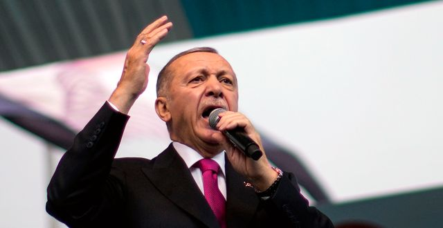 Expert: Erdogan skulle hellre dö än fly landet